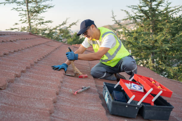 Best Roof Gutter Cleaning  in Stuart, IA
