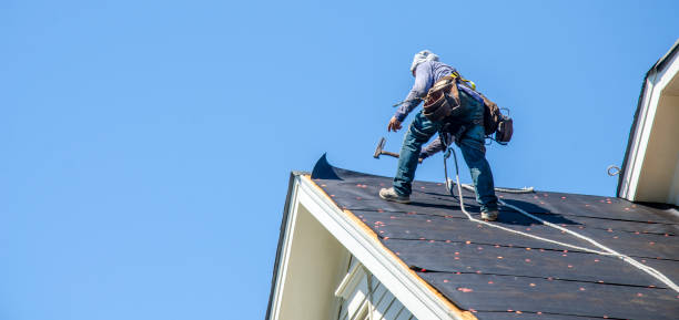 Best Roof Maintenance Services  in Stuart, IA